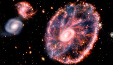 NASA: «Κόβουν» την ανάσα οι νέες εντυπωσιακές εικόνες από το James Webb – Κομμάτια από αστέρια & μαύρες τρύπες (φώτο)