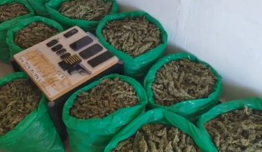 Κρήτη: Εξάρθρωση κυκλώματος ναρκωτικών με 4 συλλήψεις – Εντοπίστηκαν 47 κιλά χασίς (βίντεο)