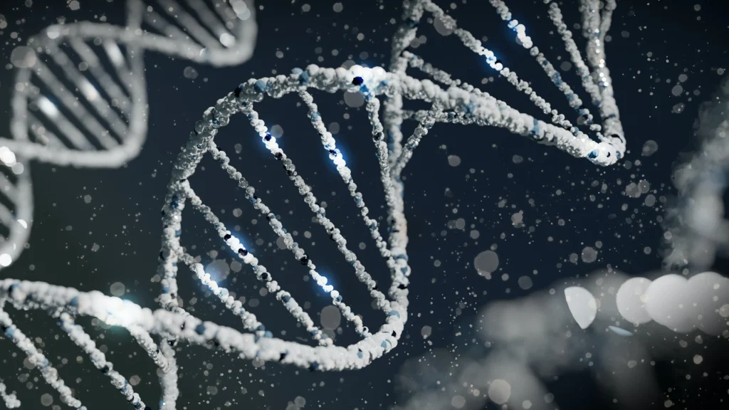 Η εξέλιξη του ανθρώπινου είδους: Πώς τα μιτοχόνδρια «παρεμβαίνουν» και αλλάζουν το DNA