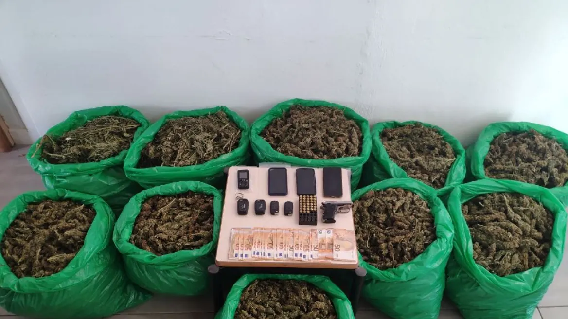 Κρήτη: Χειροπέδες σε 4 άνδρες που έκρυβαν 47 κιλά κάνναβης μέσα σε πυκνή βλάστηση στον Μυλοπόταμο