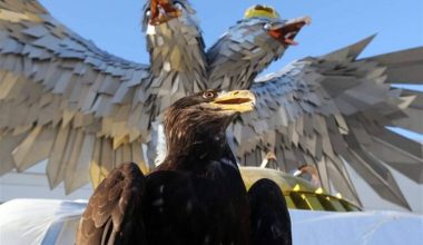 ΑΕΚ: Το όνομα του αετού στην «Αγια-Σοφιά» κρύβει μία θλιβερή ιστορία