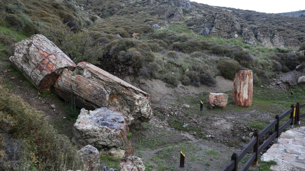 Στα πρώτα 100 μνημεία παγκόσμιας Γεωλογικής Κληρονομιάς το απολιθωμένο δάσος της Λέσβου & η καλδέρα της Σαντορίνης