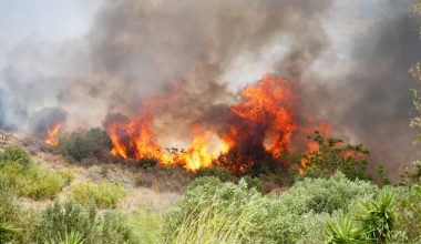 Φωτιά σε αγροτοδασική έκταση στα Σβορωνάτα της Κεφαλονιάς