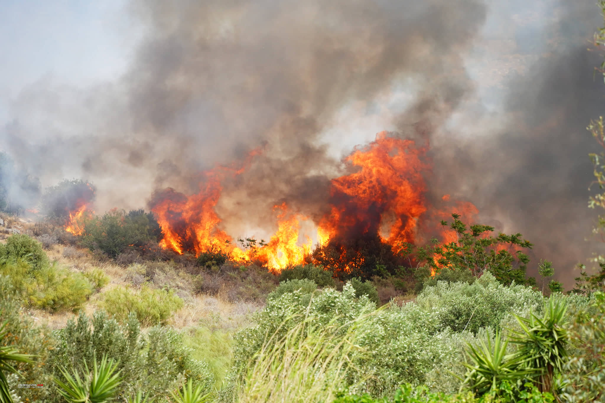 Φωτιά σε αγροτοδασική έκταση στα Σβορωνάτα της Κεφαλονιάς