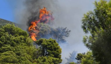 Φωτιά τώρα στο Χιλιομόδι Κορινθίας – Κινητοποιήθηκαν επίγειες και εναέριες δυνάμεις