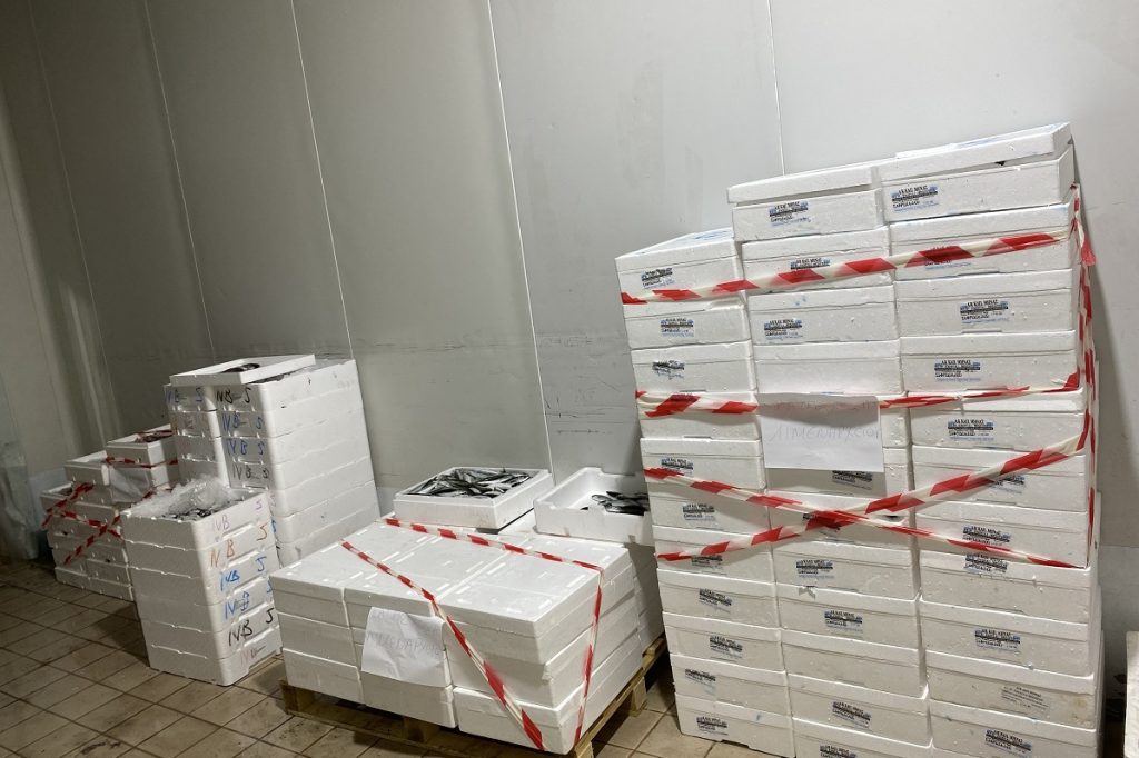 Θεσσαλονίκη: Κατασχέθηκαν 621 κιλά ψαριών στην ιχθυόσκαλα της Νέας Μηχανιώνας