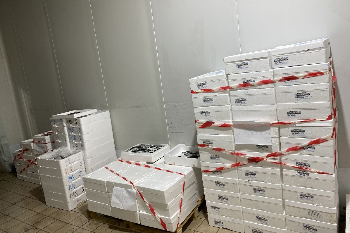 Θεσσαλονίκη: Κατασχέθηκαν 621 κιλά ψαριών στην ιχθυόσκαλα της Νέας Μηχανιώνας