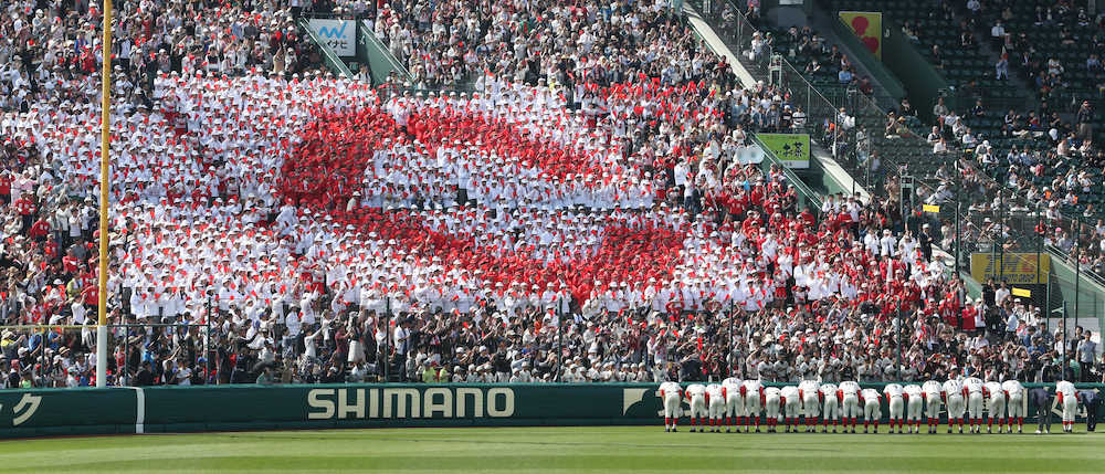 «Ζωντανά» matrix στην Ν.Κορέα δημιουργούν εντυπωσιακές εικόνες (βίντεο)