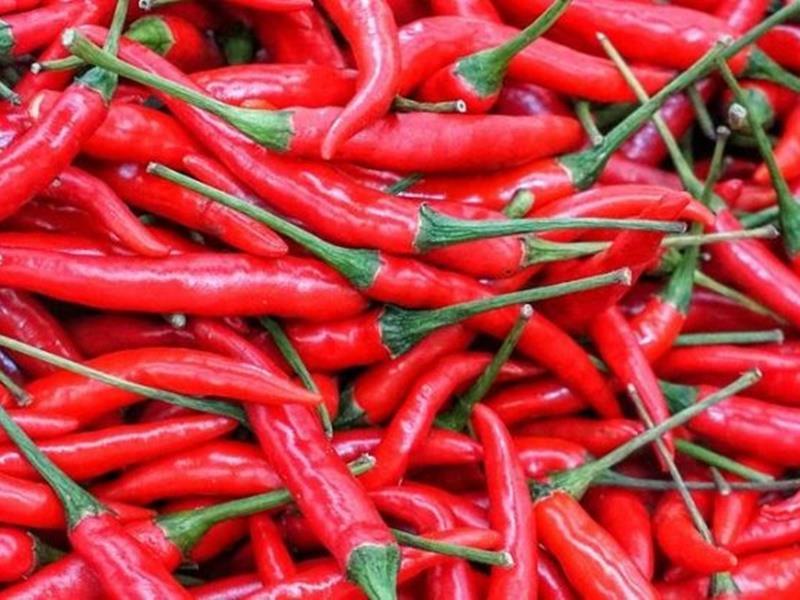 Αυτός είναι ο λόγος που δεν πρέπει να πίνετε νερό μαζί με τις καυτερές πιπεριές