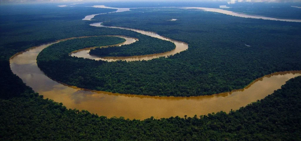 Το ψηλότερο δέντρο του Αμαζονίου –  Ερευνητές χρειάστηκαν 3 χρόνια σχεδιασμού για να φτάσουν στην κορυφή