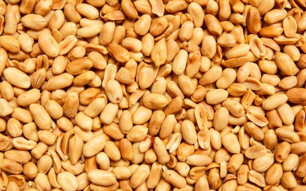 Νόμιζες ότι τα φιστίκια είναι ξηροί καρποί; – Κι όμως έκανες λάθος