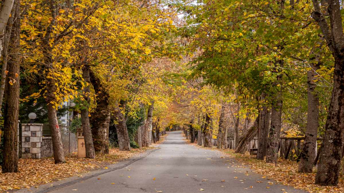 Τέσσερις οικονομικοί προορισμοί κοντά στην Αθήνα για τα Σαββατοκύριακα του φθινοπώρου
