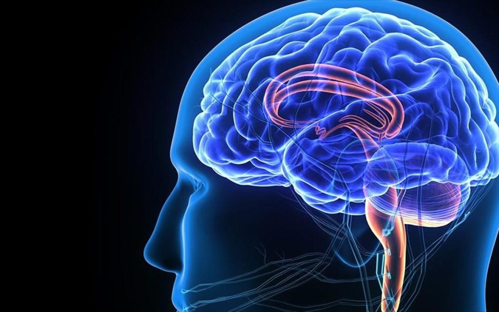 Μοναδικό: Επιστήμονες «έμαθαν» σε εγκεφαλικά κύτταρα να παίζουν τένις με το Pong (βίντεο)