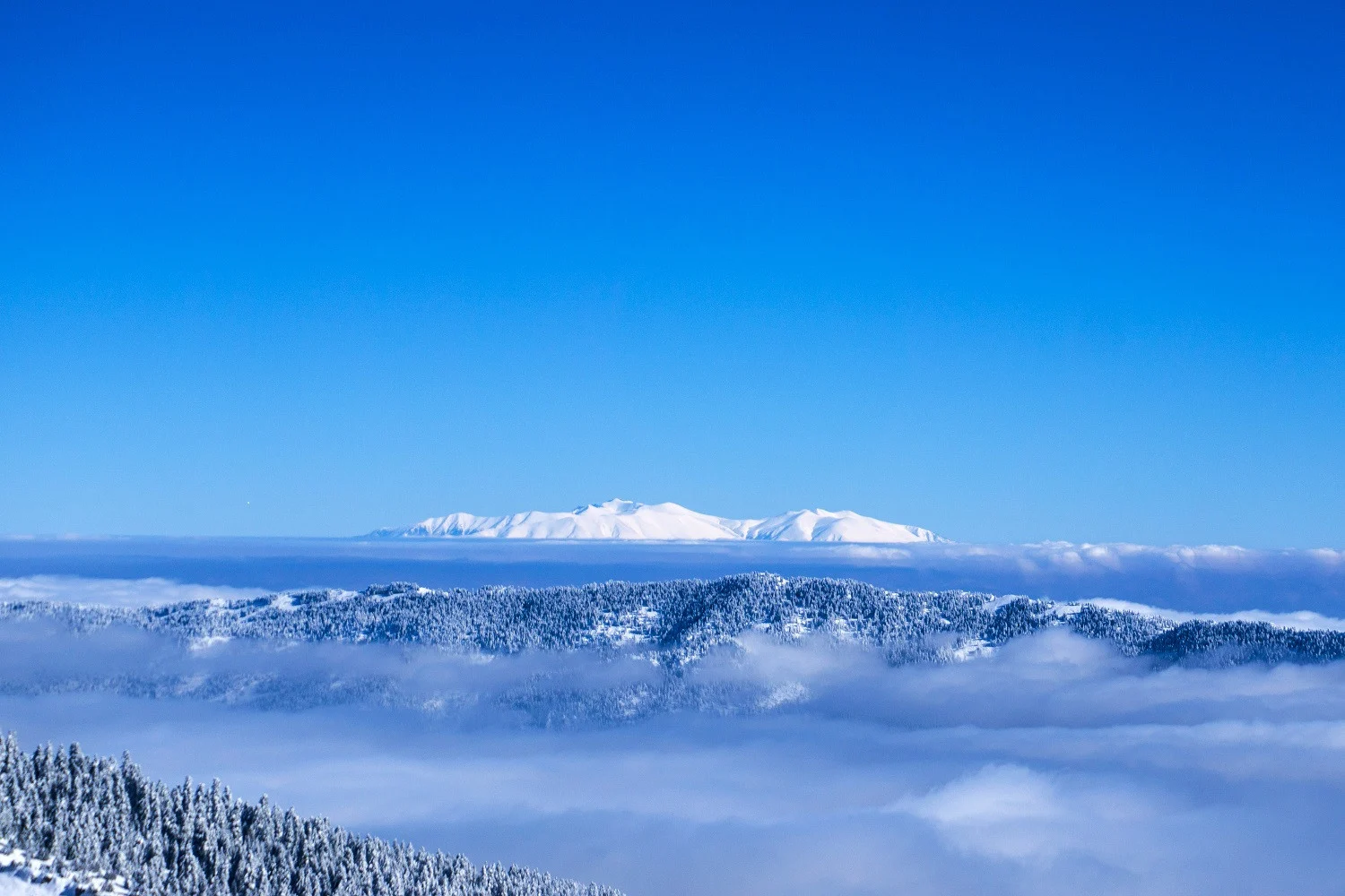 Το «έστρωσε» στον Όλυμπο – Εντυπωσιακές εικόνες