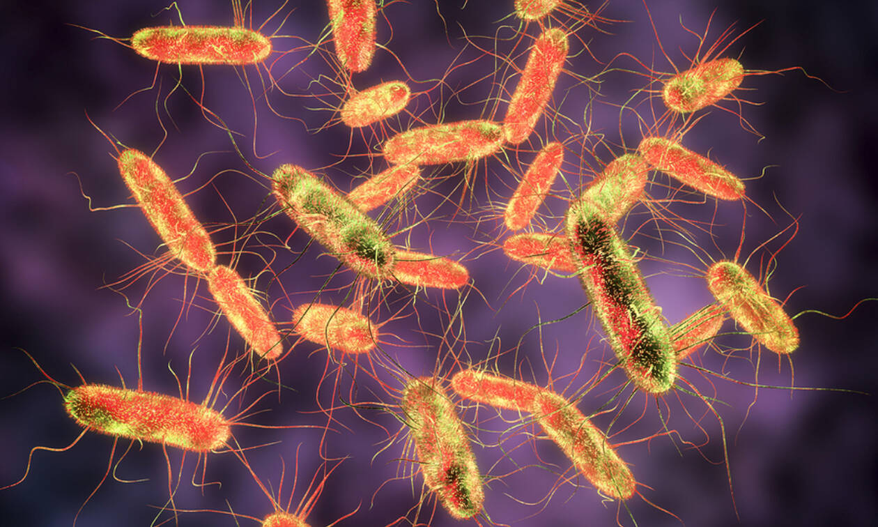 Πάτρα: 19 τα παιδιά που νοσηλεύονται με συμπτώματα σαλμονέλας