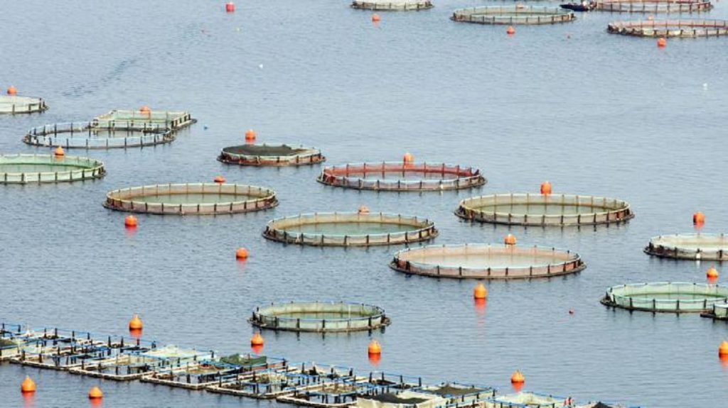 Χίος: Νεκρός 52χρονος εργαζόμενος σε ιχθυοκαλλιέργεια πάνω σε σκάφος