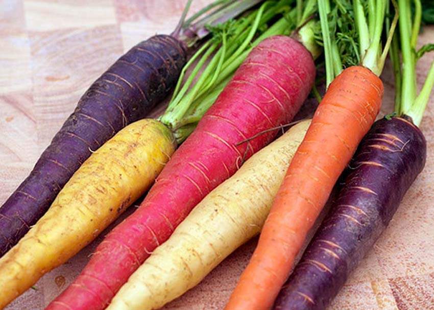 Καρότα: Tα οφέλη τους για την υγεία ανάλογα με το χρώμα τους