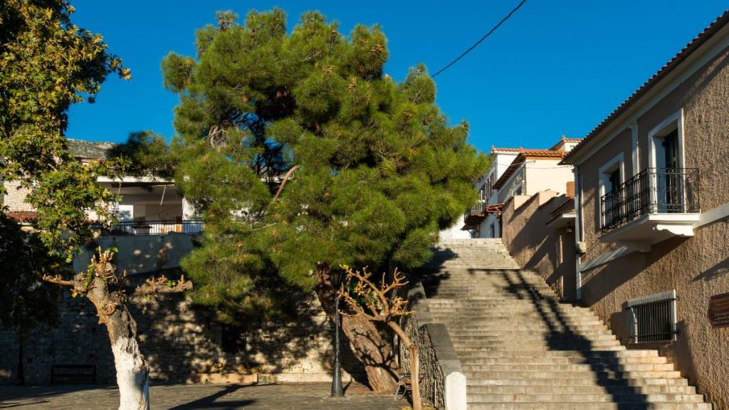 Το υπέροχο χωριό του Παρνασσού που είναι «φωλιασμένο» στους πρόποδες του (φωτο)