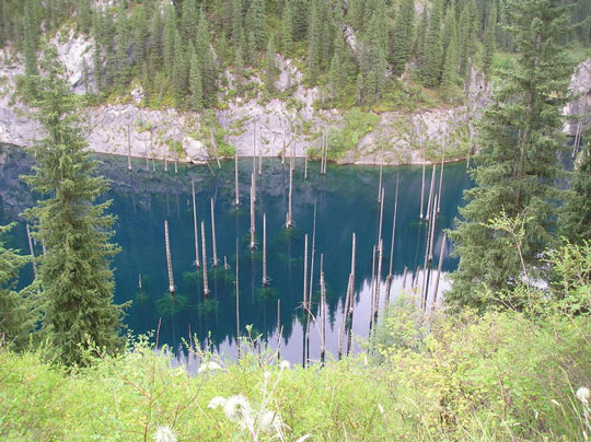 «Μαγικό» θέαμα: Tα βυθισμένα έλατα της λίμνης Kaindy (φωτο)