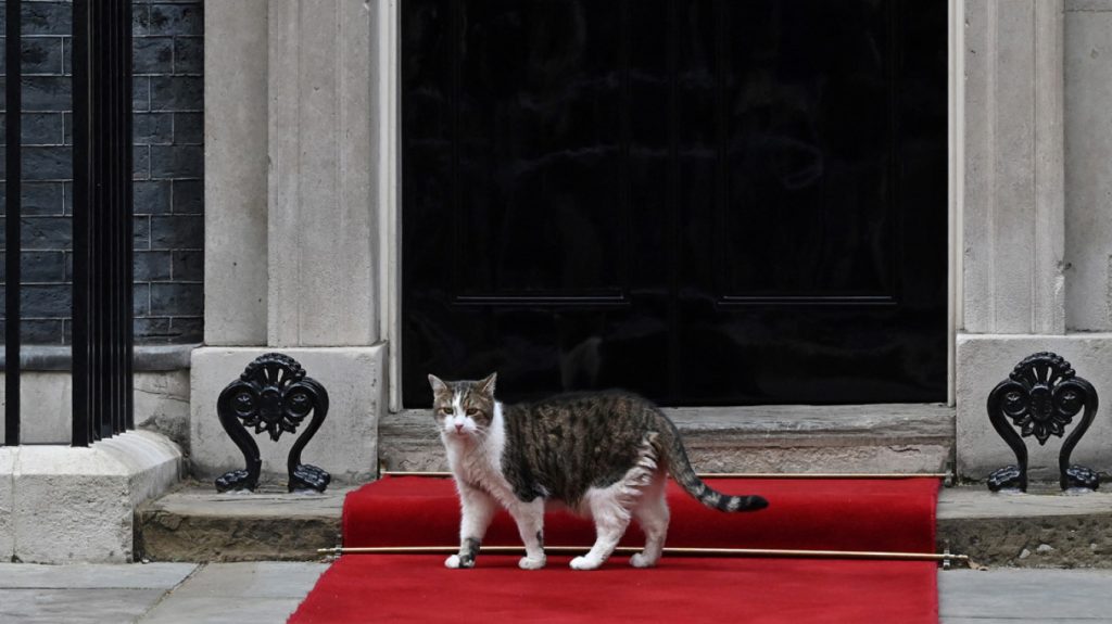 Επική ανάρτηση από… τον γάτο της Ντάουνινγκ Στριτ: «Ο βασιλιάς μου ζήτησε να γίνω πρωθυπουργός»