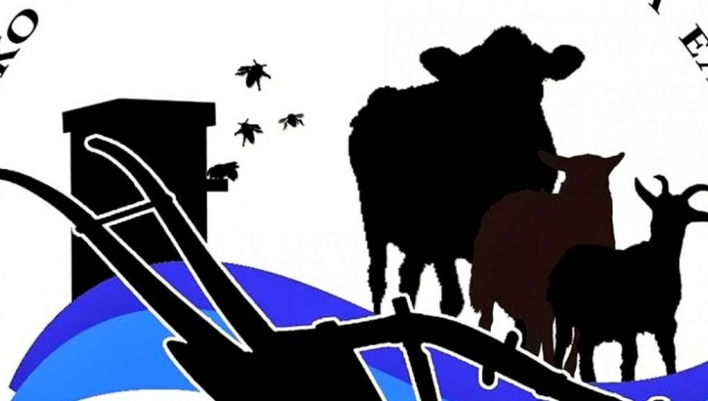 ΑΚΚΕΛ: «Απόφαση Ευρωπαϊκού δικαστηρίου επιτρέπουν πώληση φθηνών καυσίμων σε παραμεθόριες περιοχές»