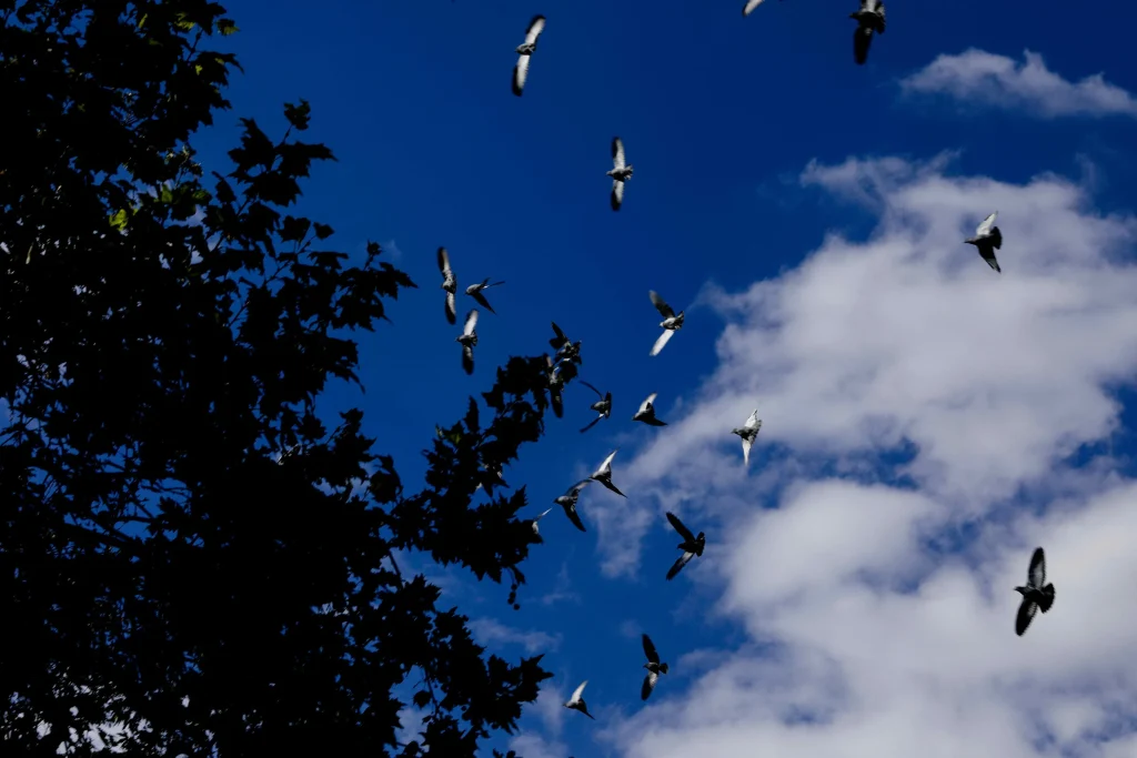 Καιρός αύριο: Καλοκαιρινό σκηνικό με άνοδο της θερμοκρασίας