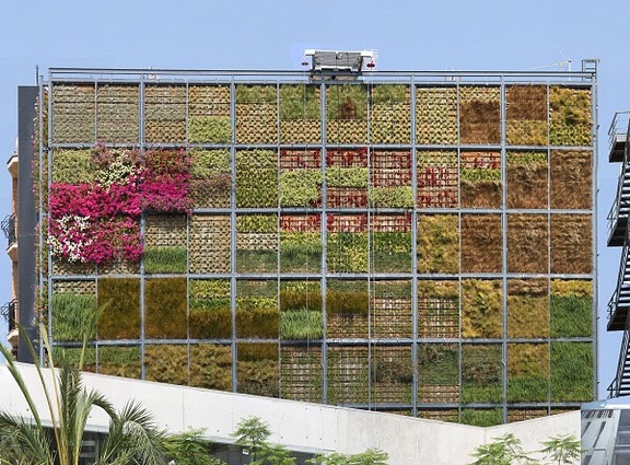 Εντυπωσιακό: Κήπος «ζει» στον τοίχο ενός κτηρίου (φωτο)