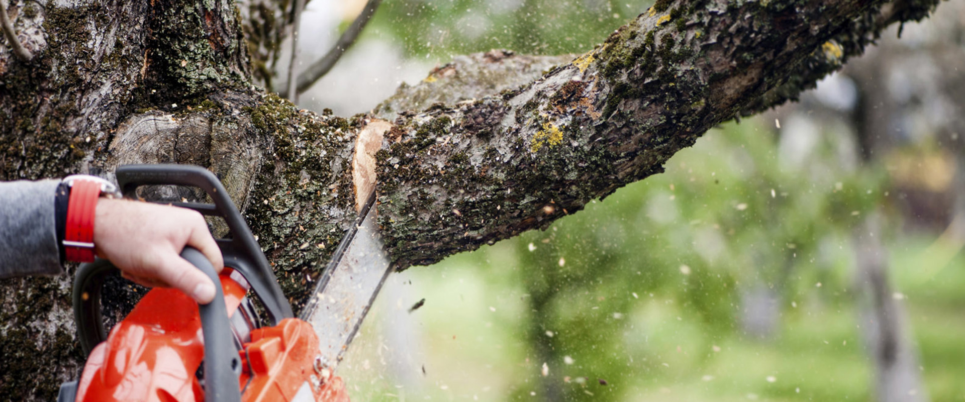 Τζουμέρκα: Διασωληνώθηκε 63χρονος που τραυματίστηκε κατά τη διάρκεια κοπής δέντρου
