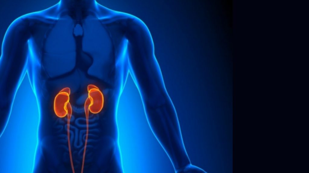 3+1 ροφήματα που καθαρίζουν τα νεφρά σας