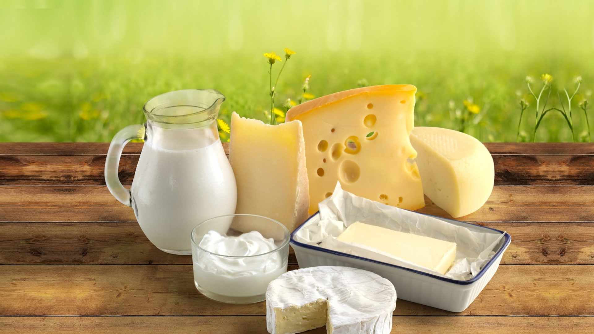 Οι Έλληνες θα «ξεχάσουν» τη γεύση του τυριού & του γιαουρτιού: Απλησίαστες οι τιμές – Γίνονται είδος πολυτελείας