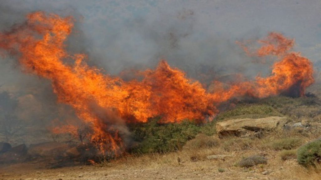 Μεσσηνία: Φωτιά στην περιοχή Κυνηγού του δήμου Πύλου – Νέστορος