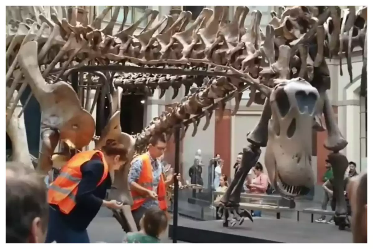 Τι άλλο θα σκεφτούν: Ακτιβίστριες για το κλίμα κόλλησαν σε έκθεση δεινοσαύρων στο Μουσείο Φυσικής Ιστορίας του Βερολίνου