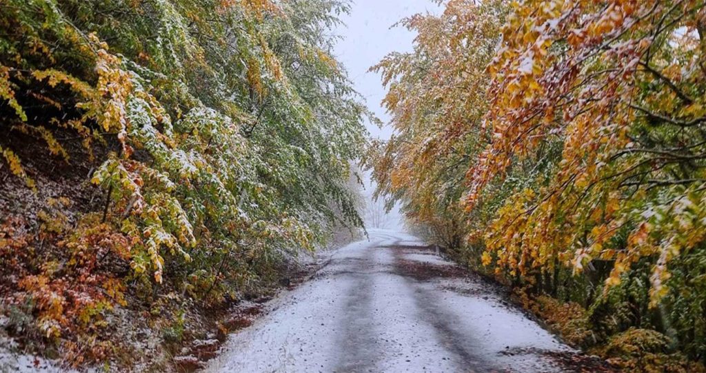 Βάλια Κάλντα: Ο παραμυθένιος τόπος με τα πυκνά δάση & τα πανύψηλα έλατα που μοιάζει σαν πίνακας ζωγραφικής (φώτο)