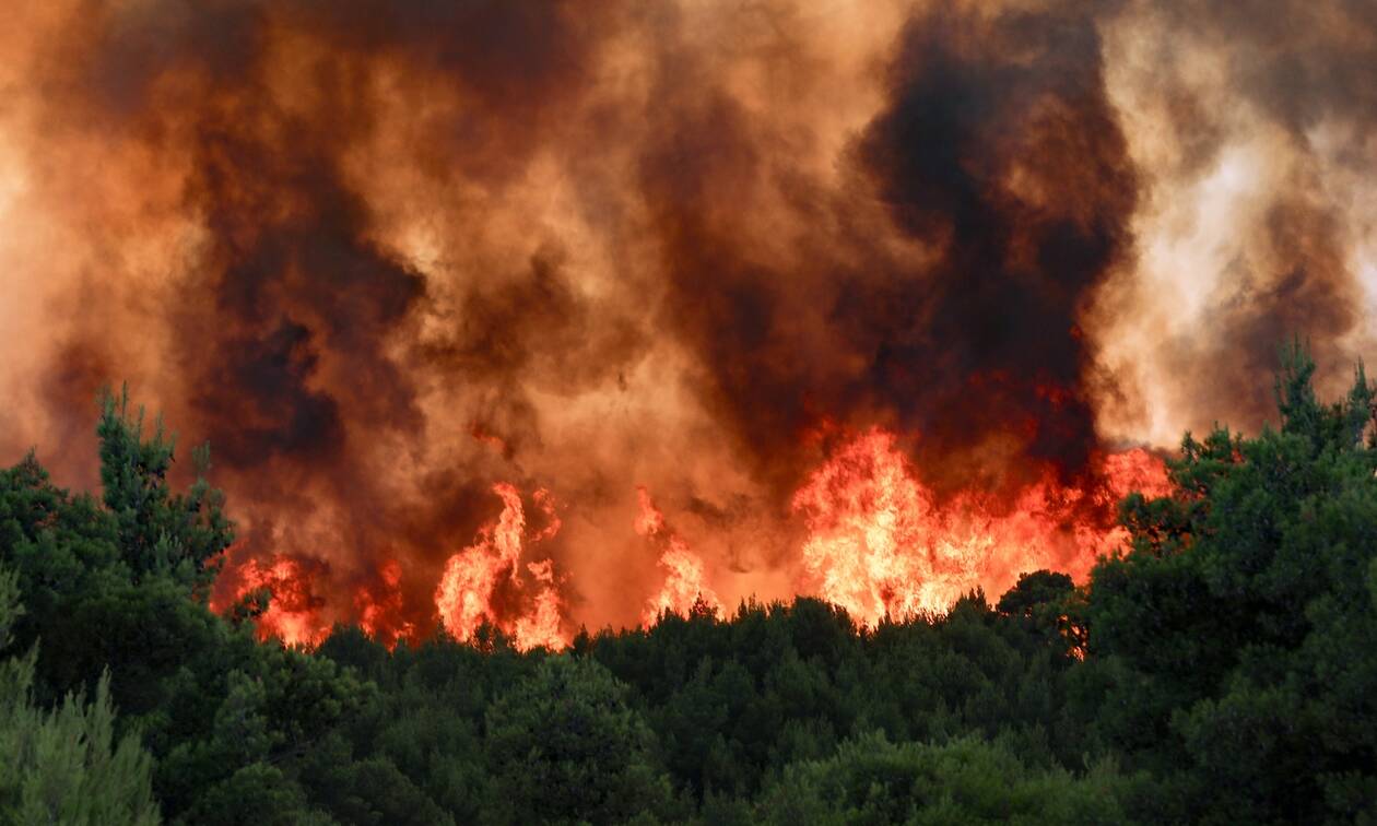 Καταστροφικά τα τελευταία χρόνια για τα δάση της Ευρώπης – Έχουν καεί 35.340 τ.χλμ