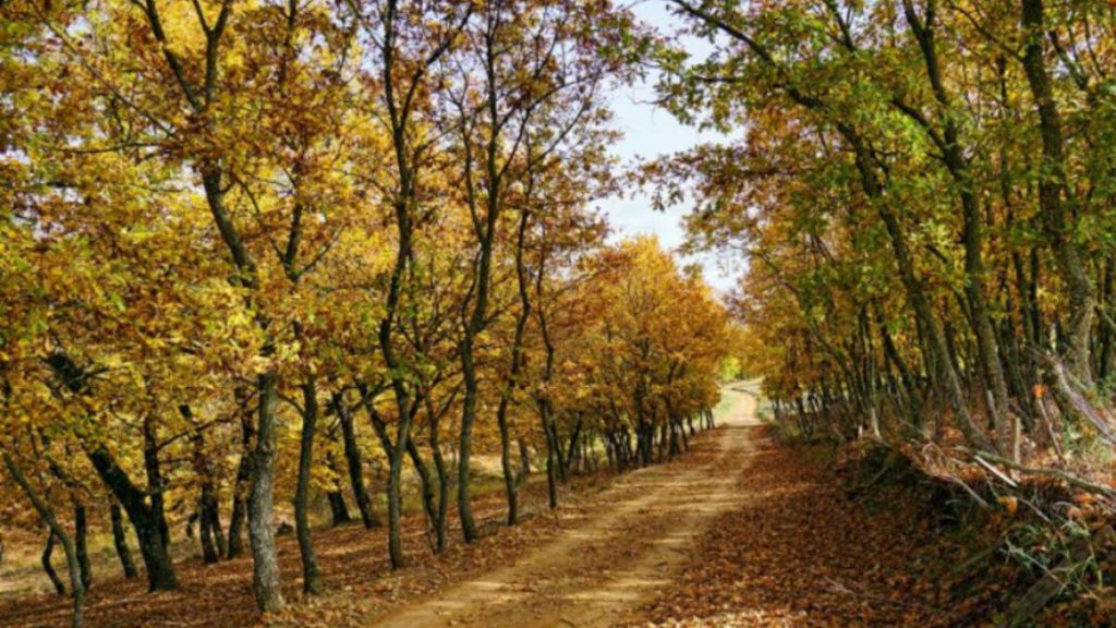 Πελοπόννησος: 3+1 υπέροχες διαδρομές για μια αξέχαστη εκδρομή με το αυτοκίνητο