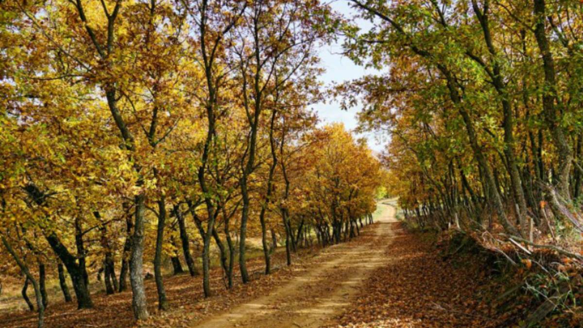 Πελοπόννησος: 3+1 υπέροχες διαδρομές για μια αξέχαστη εκδρομή με το αυτοκίνητο