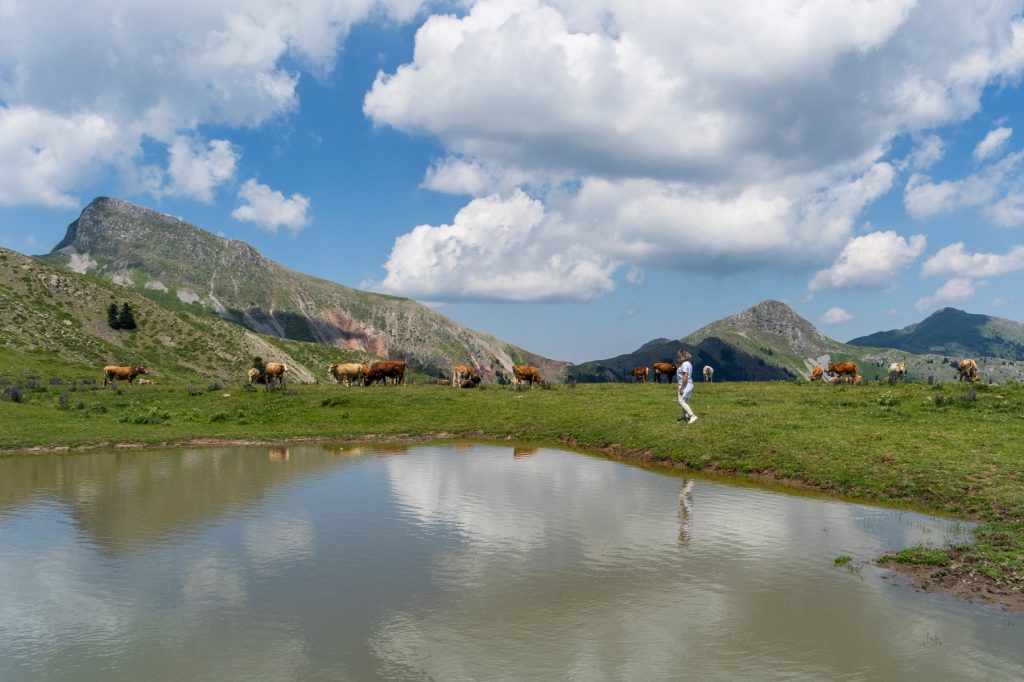Από τις πιο επικίνδυνες διαδρομές της Ελλάδας αλλά και από τις ομορφότερες στα βουνά των Αγράφων (βίντεο)