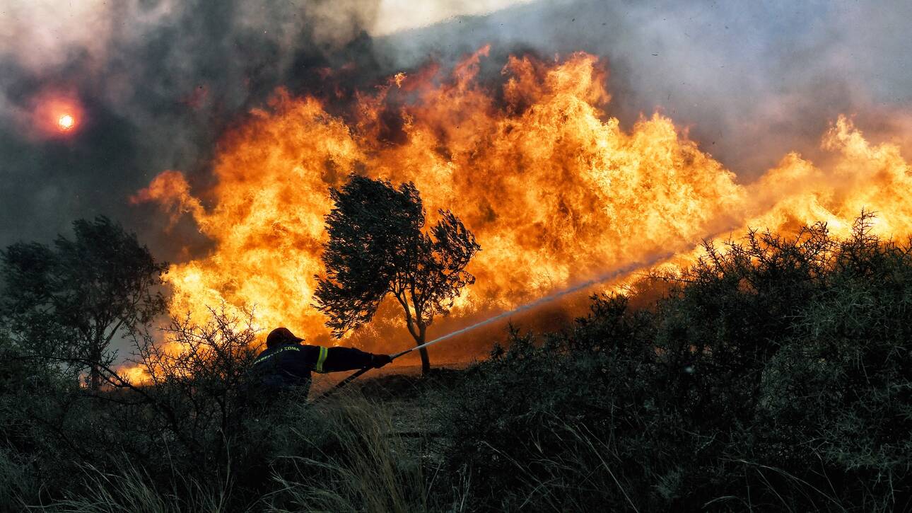 Φωτιά στην περιοχή του Αυλωναρίου στην Εύβοια