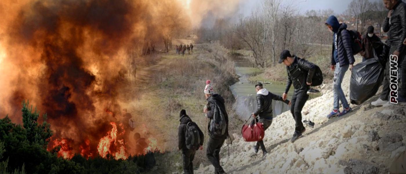 Για 15η ημέρα κατακαίει η φωτιά το Παπίκιο όρος – Στην κυβέρνηση περιμένουν τις βροχές για να σβήσει!