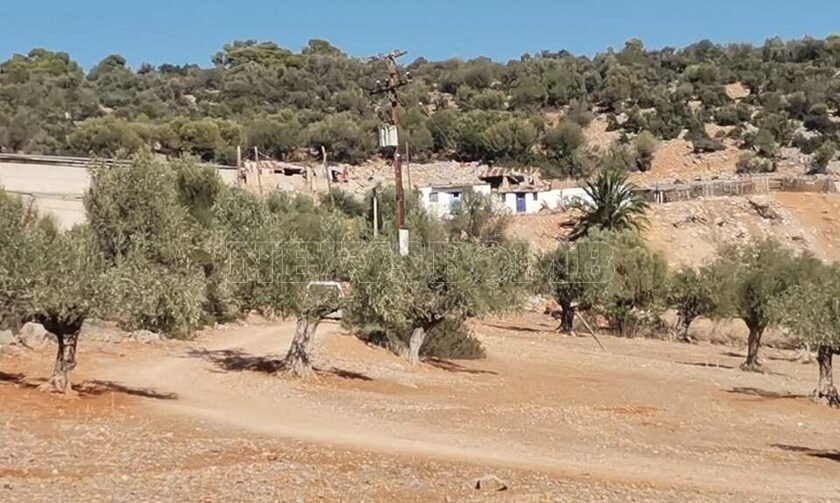 Δολοφονία στη Μάνδρα: Στην Ευελπίδων η οικογένεια του 17χρονου – Βρέθηκαν ίχνη κακοποίησης στο σώμα του