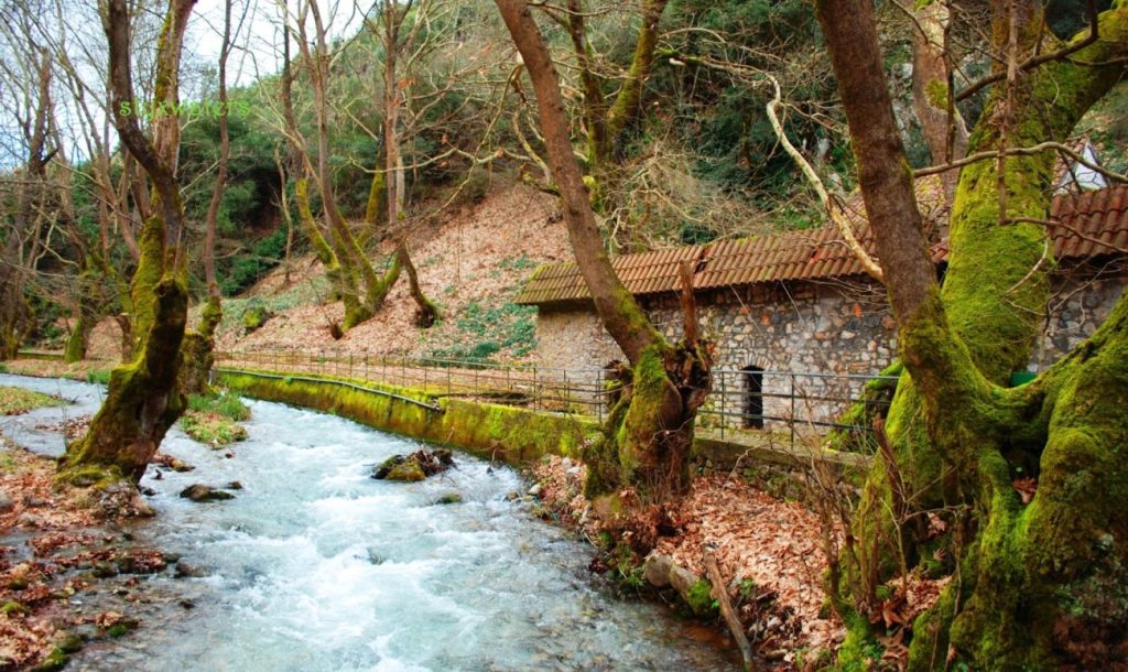 Πλανητέρο: Ο προορισμός στην ορεινή Αχαΐα που θα σας αφήσει με το «στόμα ανοιχτό» (φώτο)