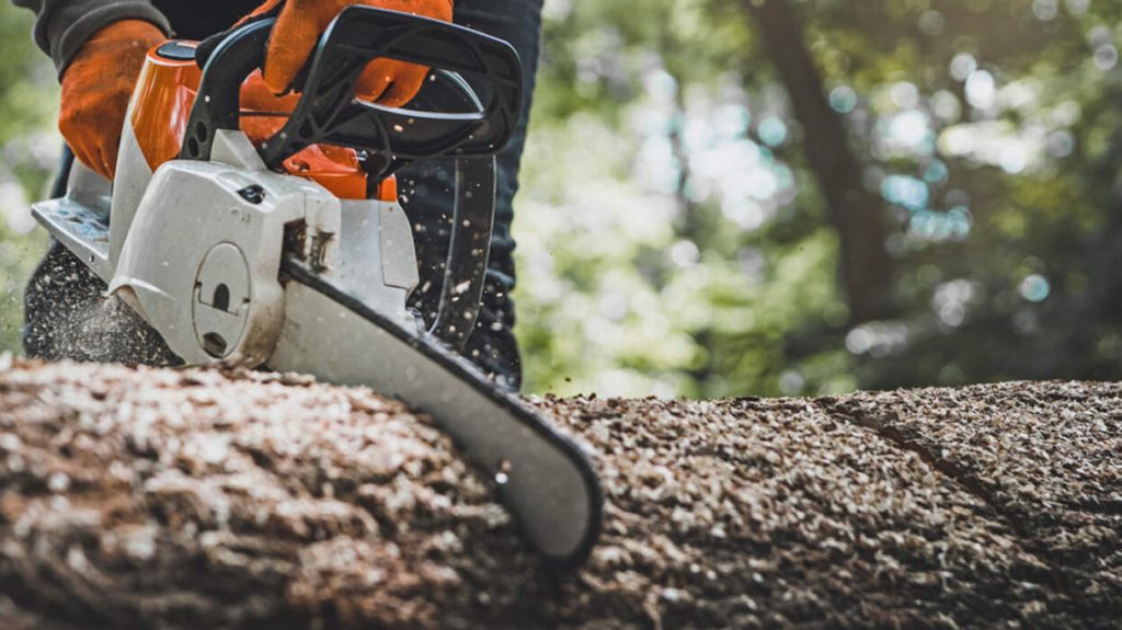 Θεσσαλονίκη: Ερευνώνται οι συνθήκες για τον θάνατο του 51χρονου με το αλυσοπρίονο