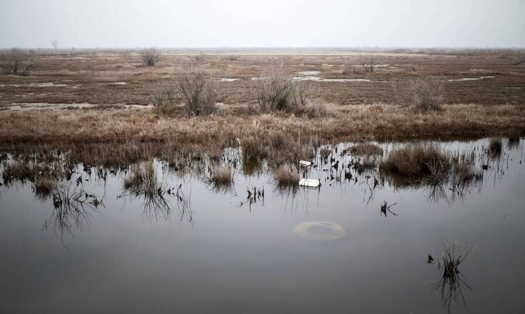 «Τον έφαγαν άγρια ζώα της περιοχής» – Σοκάρουν τα ευρήματα του ιατροδικαστή για τον θάνατο του 51χρονου