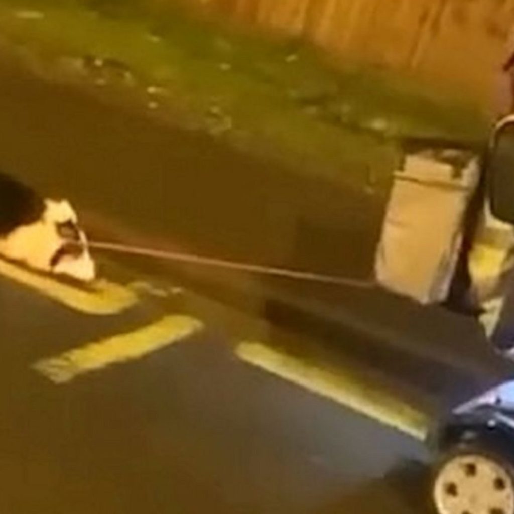 Οργή από βίντεο που δημοσιεύτηκε στη Βρετανία- Έσερνε το σκύλο της