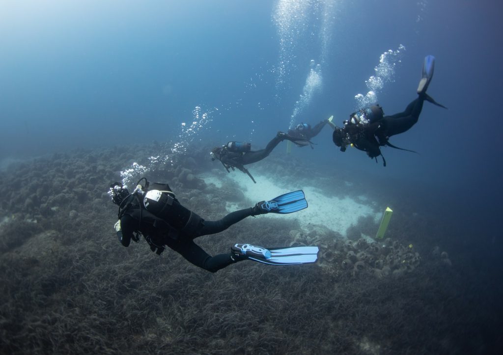 Αλόννησος: Οι Βρετανοί την «ψηφίζουν» ως τον καλύτερο καταδυτικό προορισμό