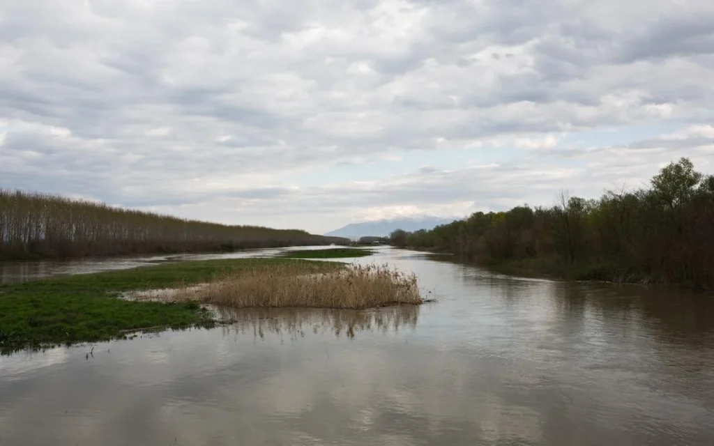 Σέρρες: Νεκρός ψαράς εντοπίστηκε στις όχθες του ποταμού Στρυμόνα