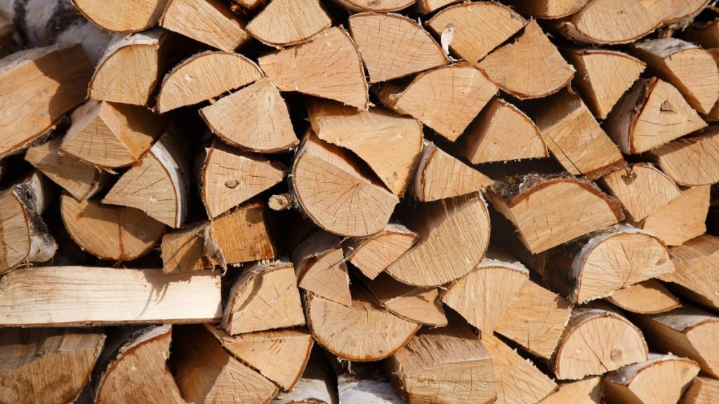 Η Ελλάδα απαγορεύει τις εξαγωγές καυσόξυλων – Χρηματικό πρόστιμο και φυλάκιση για τους… παραβάτες