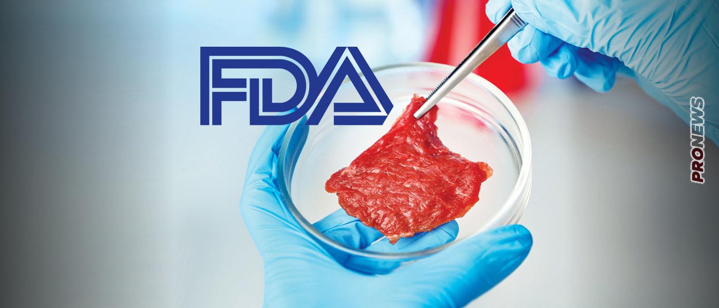 Εφιάλτης: Η αμερικανική FDA ενέκρινε την κυκλοφορία συνθετικού κρέατος πουλερικών!