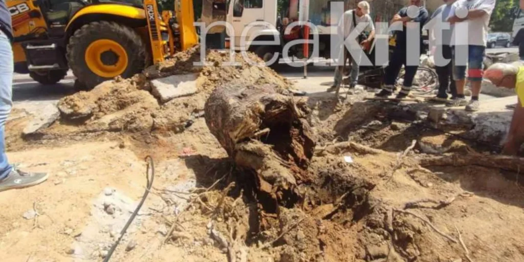 Ηράκλειο: Το δέντρο που σκότωσε τον 51χρονο πατέρα τριών παιδιών ήταν εντελώς σάπιο (φωτό-βίντεο)