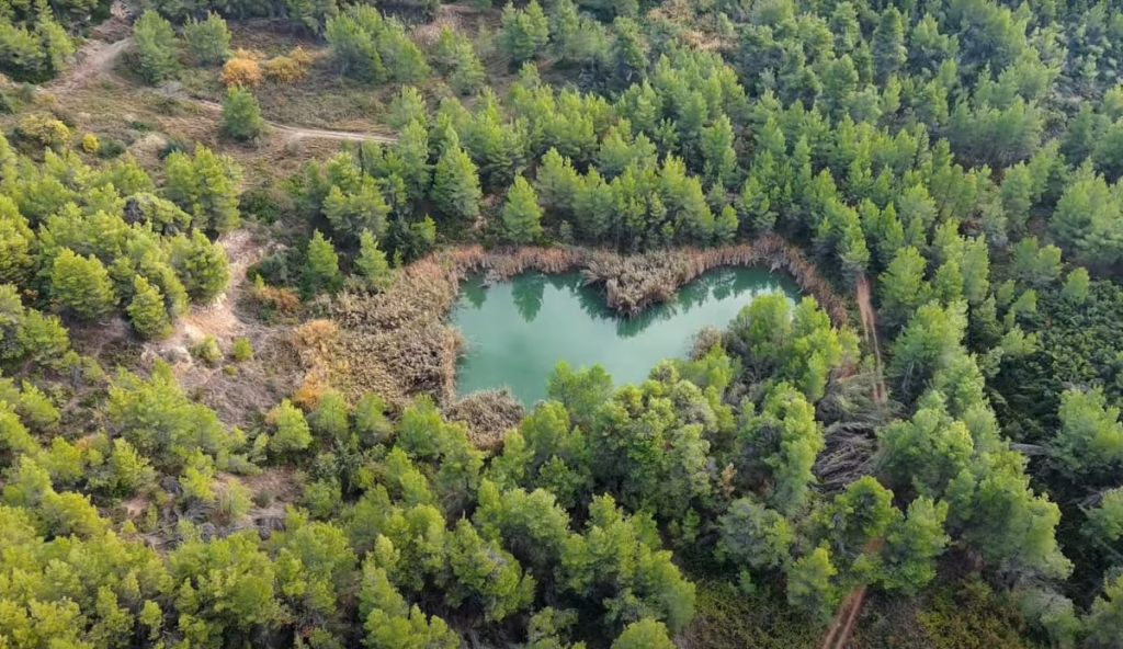 Μαυροσουβάλα: Η «άγνωστη» λίμνη της Αττικής που απέχει μία ώρα από την Αθήνα (βίντεο)